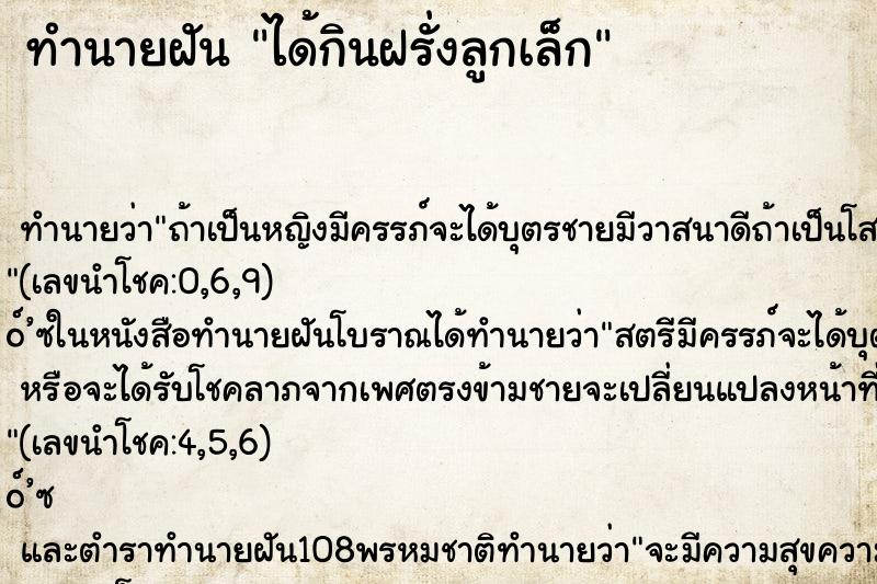 ทำนายฝัน ได้กินฝรั่งลูกเล็ก ทำนายฝัน ได้กินฝรั่งลูกเล็ก