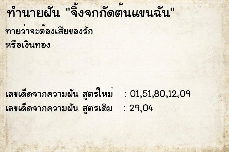 ทำนายฝันทำนายฝันจิ้งจกกัดต้นแขนฉัน