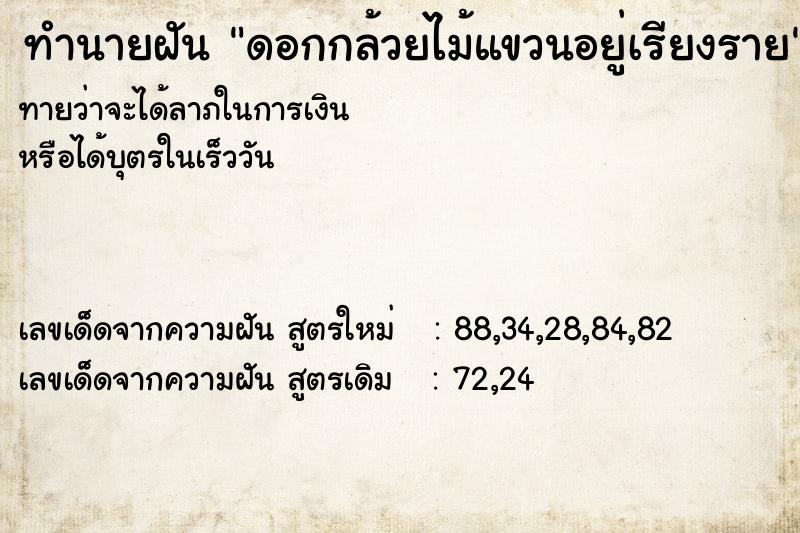 ทำนายฝันดอกกล้วยไม้แขวนอยู่เรียงราย ทำนายฝันทำนายฝันดอกกล้วยไม้แขวนอยู่เรียงราย