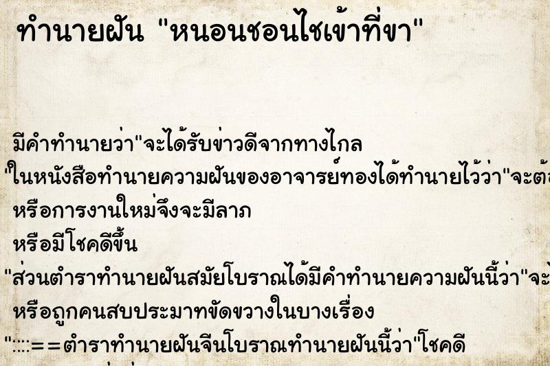 ทำนายฝันหนอนชอนไชเข้าที่ขา ทำนายฝันทำนายฝันหนอนชอนไชเข้าที่ขา