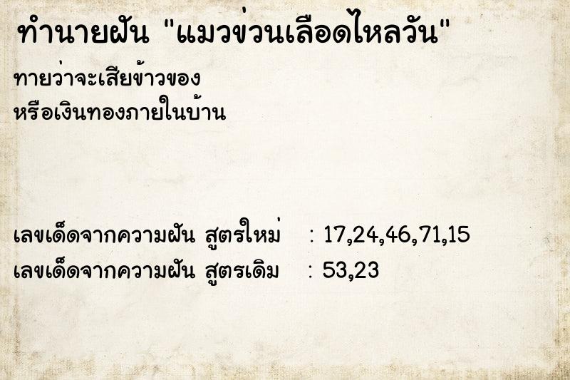 ทำนายฝันทำนายฝันแมวข่วนเลือดไหลวัน