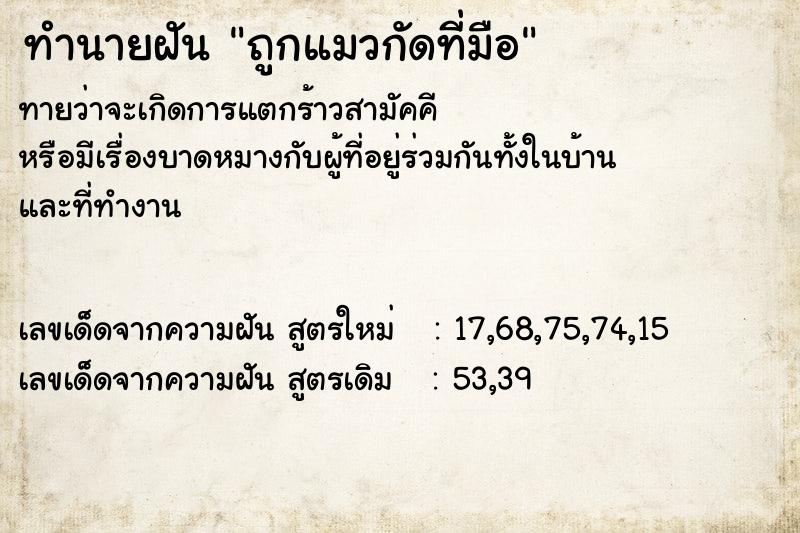 ทำนายฝันถูกแมวกัดที่มือ ทำนายฝันทำนายฝันถูกแมวกัดที่มือ