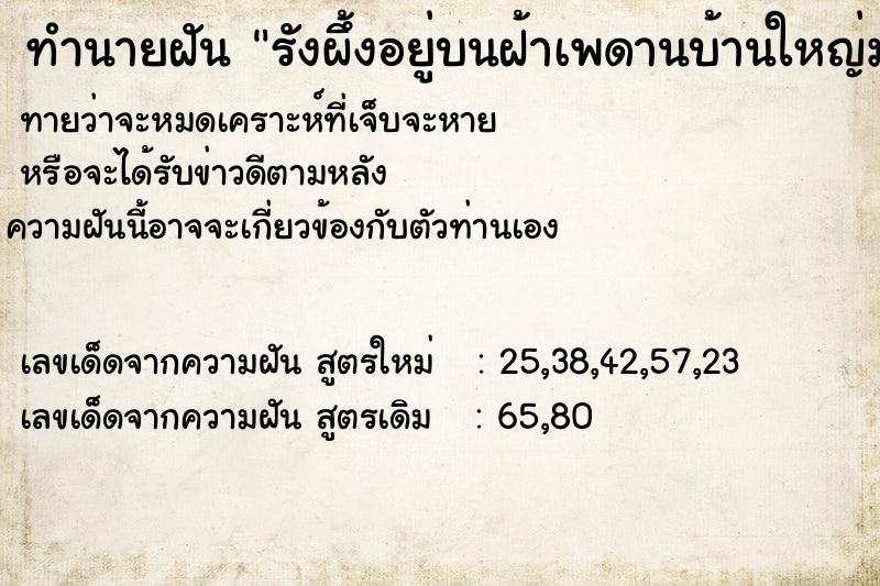 ทำนายฝันรังผึ้งอยู่บนฝ้าเพดานบ้านใหญ่มาก ทำนายฝันทำนายฝันรังผึ้งอยู่บนฝ้าเพดานบ้านใหญ่มาก