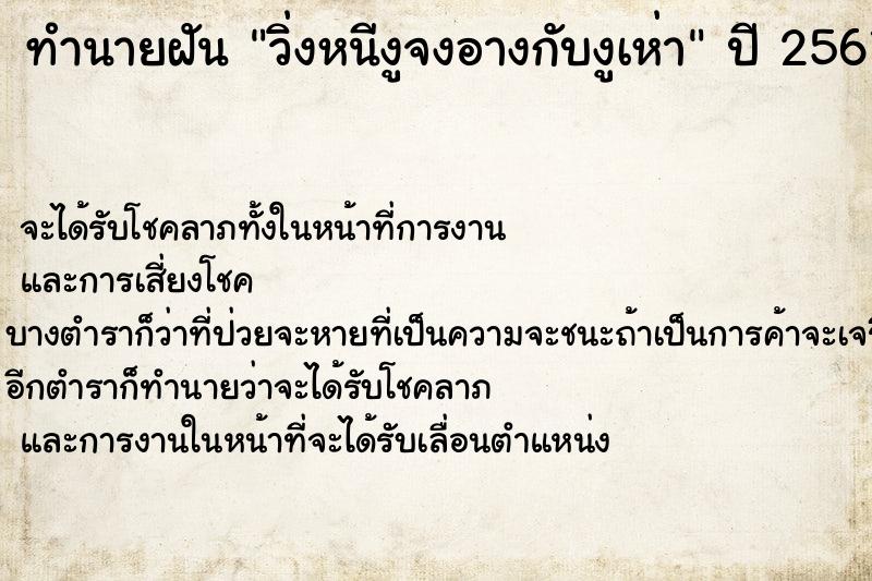 ทำนายฝัน วิ่งหนีงูจงอางกับงูเห่า ทำนายฝัน วิ่งหนีงูจงอางกับงูเห่า