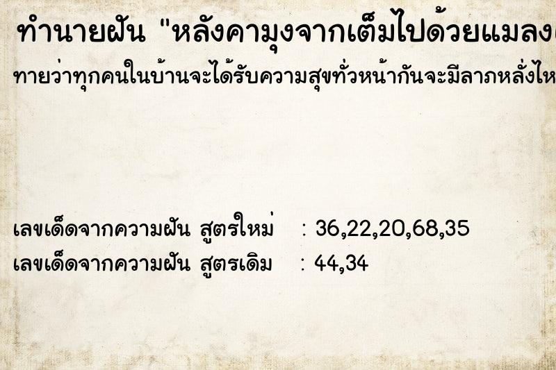 ทำนายฝันหลังคามุงจากเต็มไปด้วยแมลงและแมงมุม ทำนายฝันทำนายฝันหลังคามุงจากเต็มไปด้วยแมลงและแมงมุม