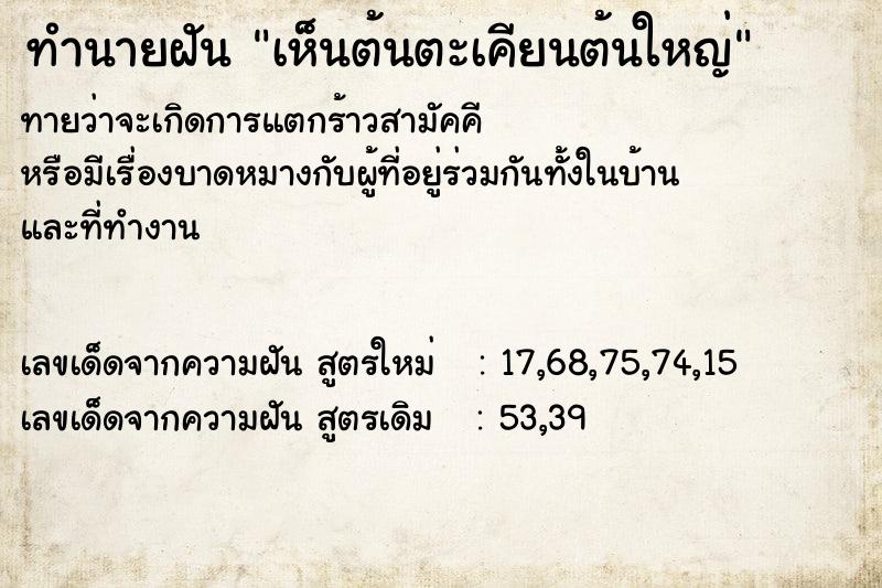 ทำนายฝัน เห็นต้นตะเคียนต้นใหญ่ ทำนายฝัน เห็นต้นตะเคียนต้นใหญ่