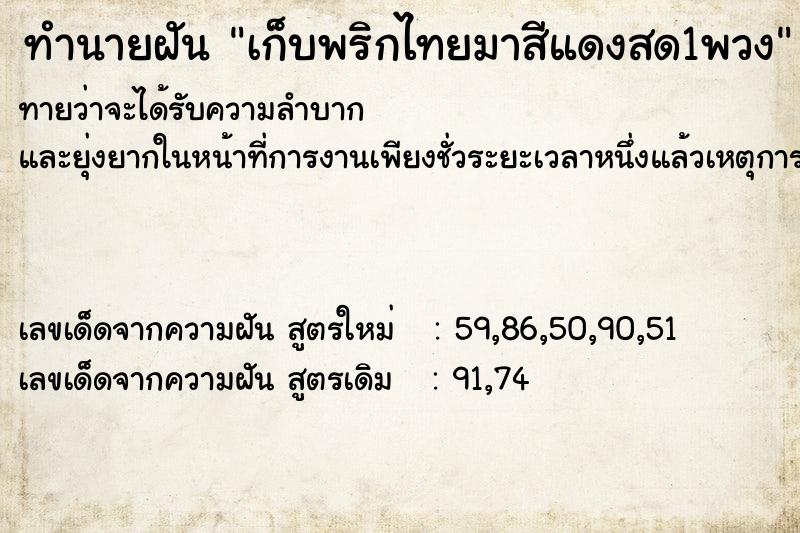 ทำนายฝันทำนายฝันเก็บพริกไทยมาสีแดงสด1พวง