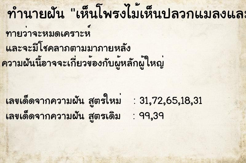 ทำนายฝันเห็นโพรงไม้เห็นปลวกแมลงและกระต่าย ทำนายฝันทำนายฝันเห็นโพรงไม้เห็นปลวกแมลงและกระต่าย