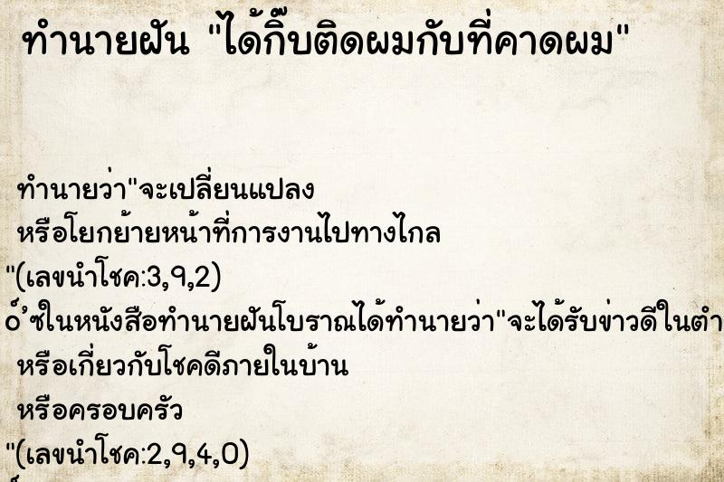 ทำนายฝันทำนายฝันได้กิ๊บติดผมกับที่คาดผม
