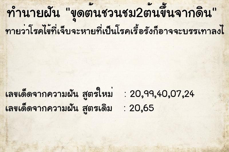 ทำนายฝันขุดต้นชวนชม2ต้นขึ้นจากดิน ทำนายฝันทำนายฝันขุดต้นชวนชม2ต้นขึ้นจากดิน