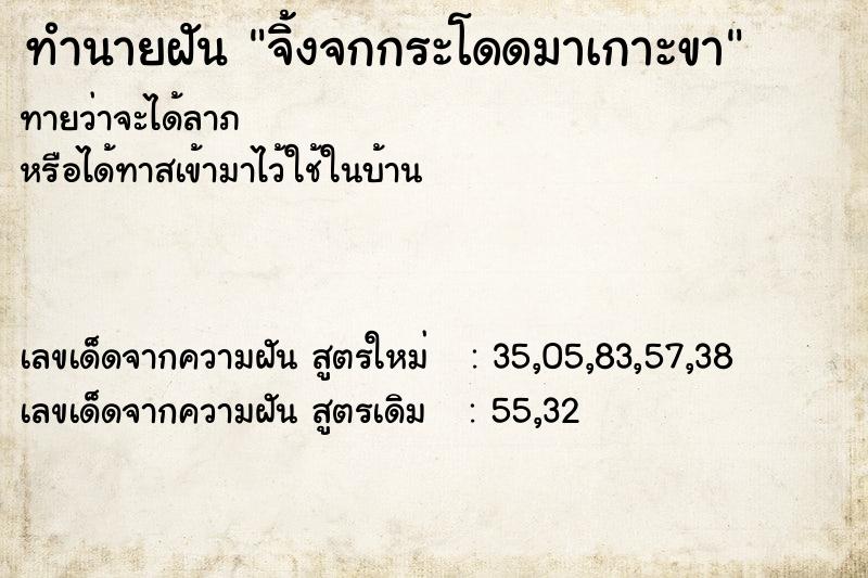 ทำนายฝันจิ้งจกกระโดดมาเกาะขา ทำนายฝันทำนายฝันจิ้งจกกระโดดมาเกาะขา