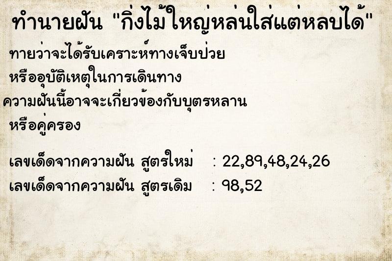 ทำนายฝันกิ่งไม้ใหญ่หล่นใส่แต่หลบได้ ทำนายฝันทำนายฝันกิ่งไม้ใหญ่หล่นใส่แต่หลบได้