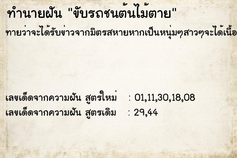 ทำนายฝันขับรถชนต้นไม้ตาย ทำนายฝันทำนายฝันขับรถชนต้นไม้ตาย