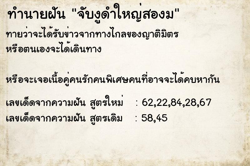 ทำนายฝันจับงูดำใหญ่สองม ทำนายฝันทำนายฝันจับงูดำใหญ่สองม