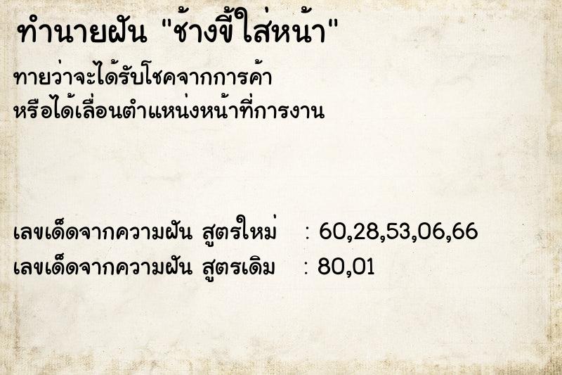 ทำนายฝันช้างขี้ใส่หน้า ทำนายฝันทำนายฝันช้างขี้ใส่หน้า