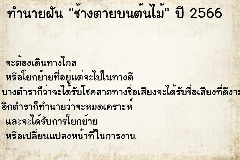 ทำนายฝัน ช้างตายบนต้นไม้