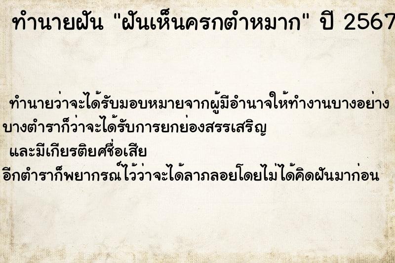 ทำนายฝัน ฝันเห็นครกตำหมาก ทำนายฝัน ฝันเห็นครกตำหมาก