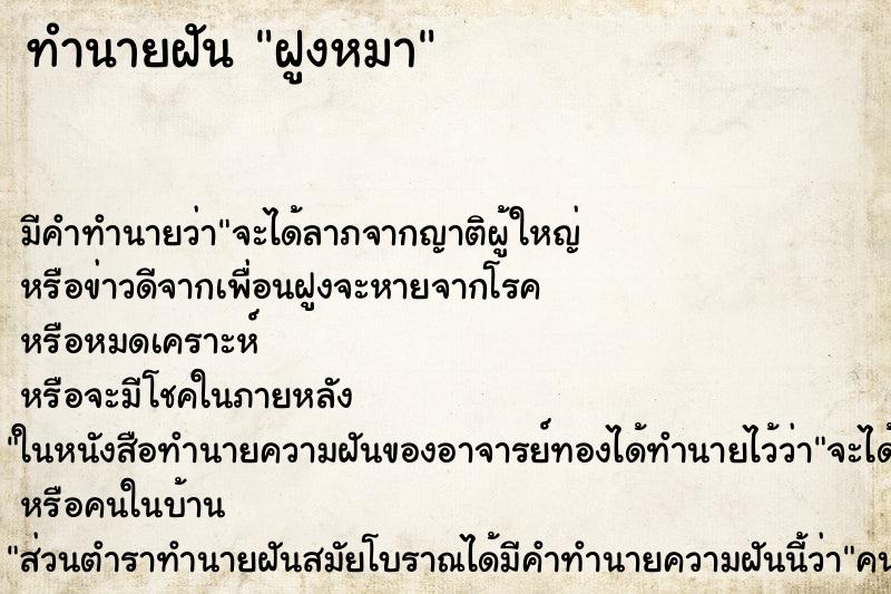 ทำนายฝันทำนายฝันฝูงหมา