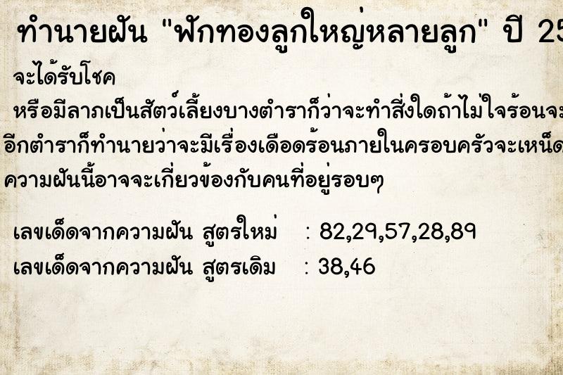 ทำนายฝัน ฟักทองลูกใหญ่หลายลูก ทำนายฝัน ฟักทองลูกใหญ่หลายลูก