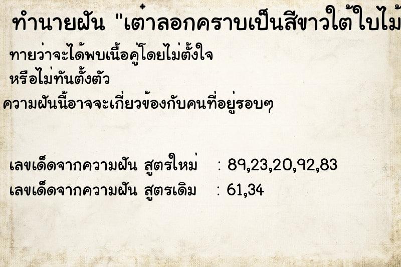 ทำนายฝันเต๋าลอกคราบเป็นสีขาวใต้ใบไม้ตัวใหญ่ ทำนายฝันทำนายฝันเต๋าลอกคราบเป็นสีขาวใต้ใบไม้ตัวใหญ่