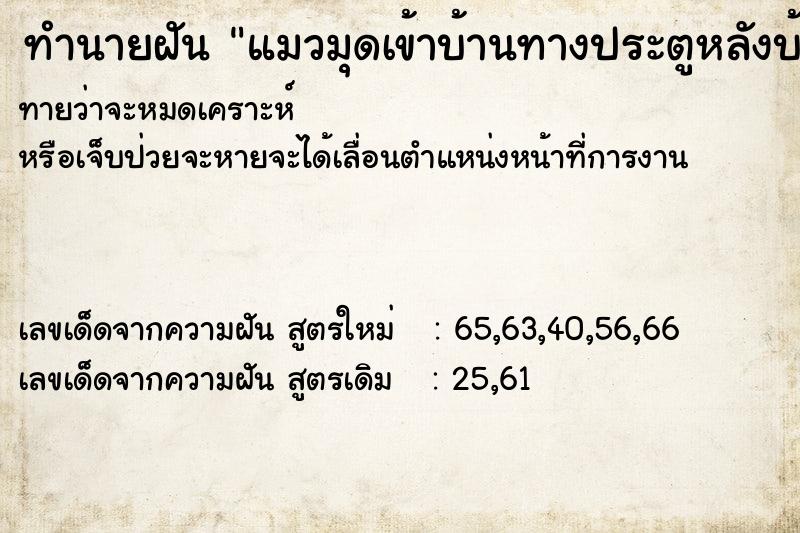 ทำนายฝันแมวมุดเข้าบ้านทางประตูหลังบ้าน ทำนายฝันทำนายฝันแมวมุดเข้าบ้านทางประตูหลังบ้าน