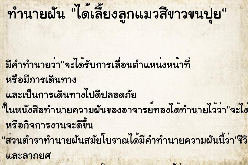 ทำนายฝันได้เลี้ยงลูกแมวสีขาวขนปุย ทำนายฝันทำนายฝันได้เลี้ยงลูกแมวสีขาวขนปุย