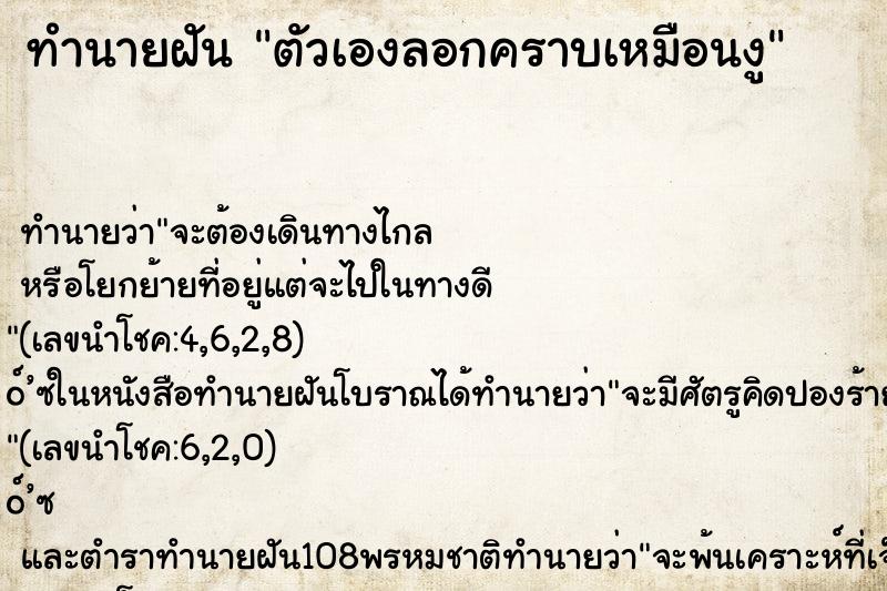 ทำนายฝัน ตัวเองลอกคราบเหมือนงู ทำนายฝัน ตัวเองลอกคราบเหมือนงู