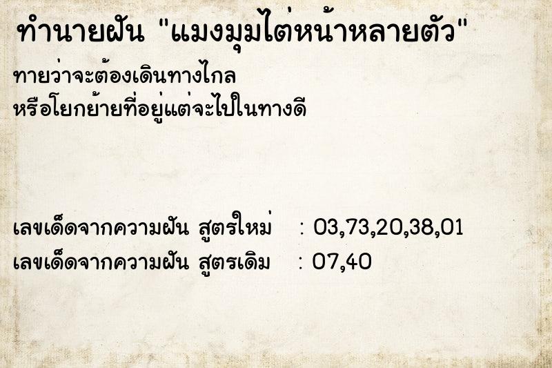 ทำนายฝันแมงมุมไต่หน้าหลายตัว ทำนายฝันทำนายฝันแมงมุมไต่หน้าหลายตัว