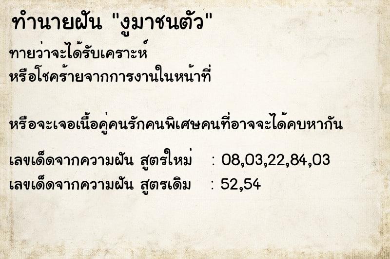 ทำนายฝันทำนายฝันงูมาชนตัว