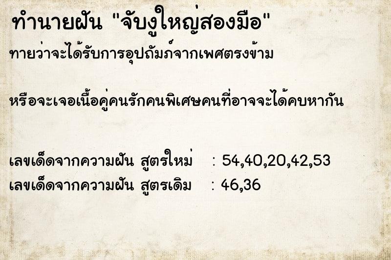 ทำนายฝันจับงูใหญ่สองมือ ทำนายฝันทำนายฝันจับงูใหญ่สองมือ