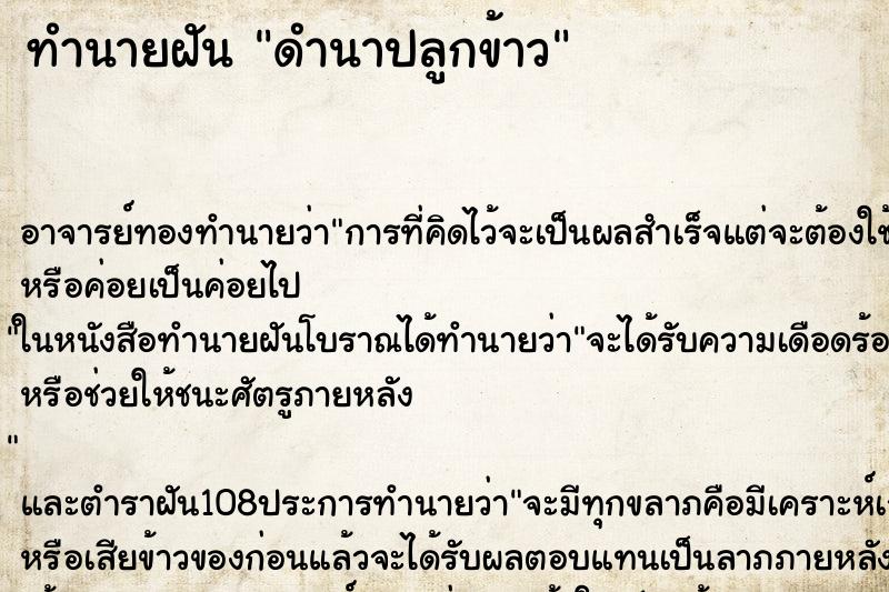 ทำนายฝันดำนาปลูกข้าว ทำนายฝันทำนายฝันดำนาปลูกข้าว