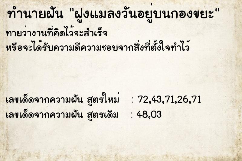 ทำนายฝันทำนายฝันฝูงแมลงวันอยู่บนกองขยะ