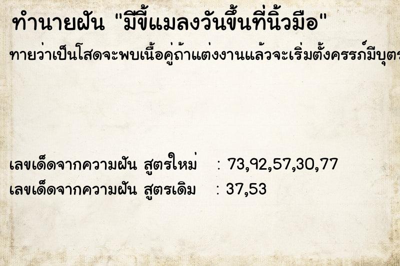 ทำนายฝันมีขี้แมลงวันขึ้นที่นิ้วมือ ทำนายฝันทำนายฝันมีขี้แมลงวันขึ้นที่นิ้วมือ
