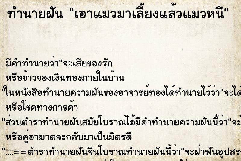 ทำนายฝันเอาแมวมาเลี้ยงแล้วแมวหนี ทำนายฝันทำนายฝันเอาแมวมาเลี้ยงแล้วแมวหนี