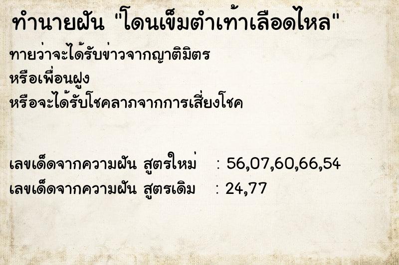 ทำนายฝัน โดนเข็มตำเท้าเลือดไหล ทำนายฝัน โดนเข็มตำเท้าเลือดไหล