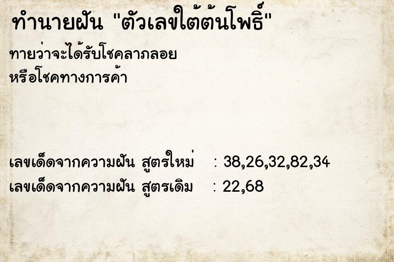 ทำนายฝันตัวเลขใต้ต้นโพธิ์ ทำนายฝันทำนายฝันตัวเลขใต้ต้นโพธิ์