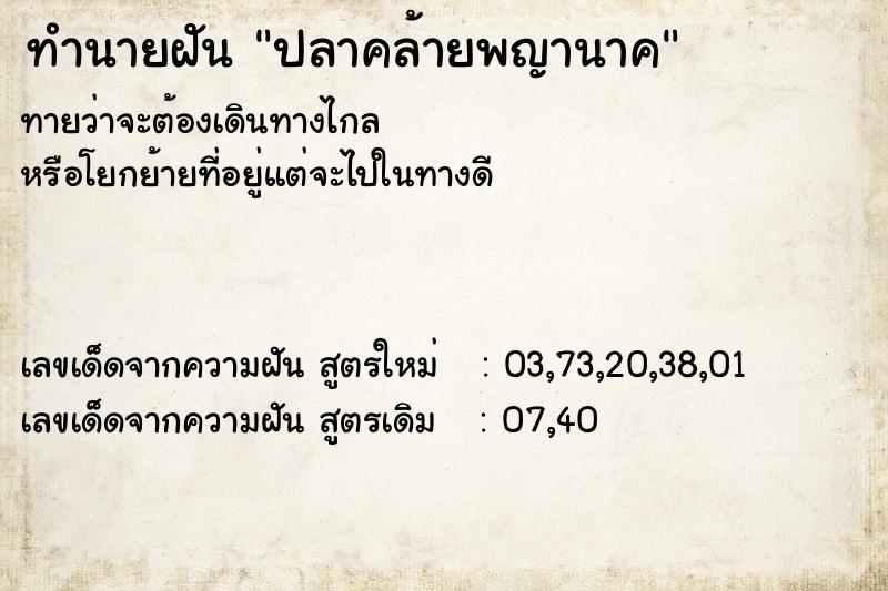 ทำนายฝัน ปลาคล้ายพญานาค