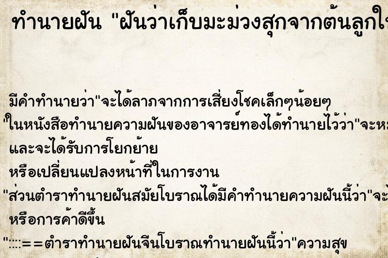 ทำนายฝันทำนายฝันฝันว่าเก็บมะม่วงสุกจากต้นลูกใหญ่มากหลายลูก