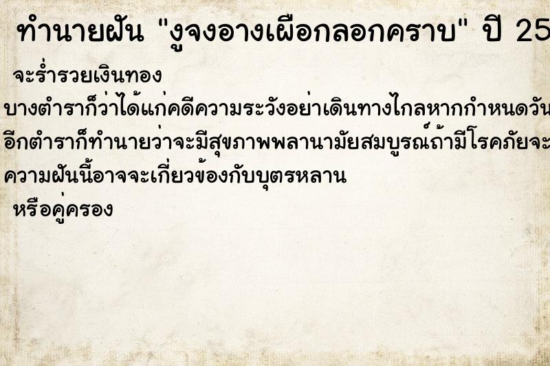 ทำนายฝันงูจงอางเผือกลอกคราบ ทำนายฝันทำนายฝันงูจงอางเผือกลอกคราบ