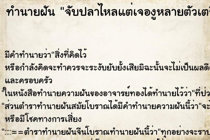 ทำนายฝัน จับปลาไหลแต่เจองูหลายตัวเตรียมจะฉก ทำนายฝัน จับปลาไหลแต่เจองูหลายตัวเตรียมจะฉก