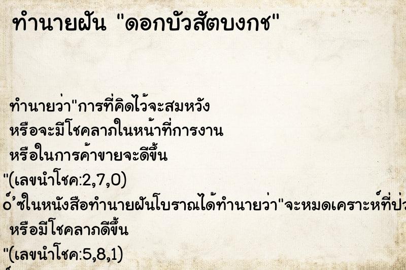 ทำนายฝันดอกบัวสัตบงกช ทำนายฝันทำนายฝันดอกบัวสัตบงกช