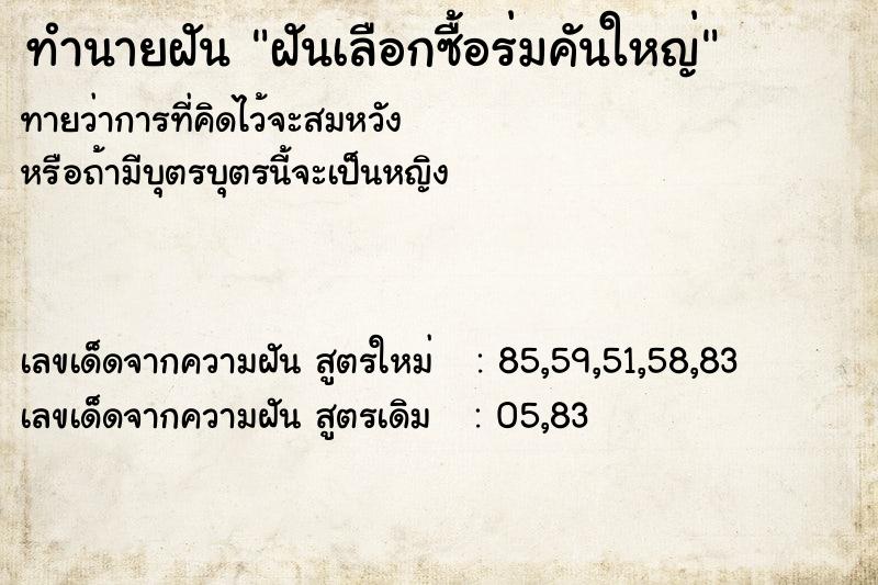 ทำนายฝันฝันเลือกซื้อร่มคันใหญ่ ทำนายฝันทำนายฝันฝันเลือกซื้อร่มคันใหญ่