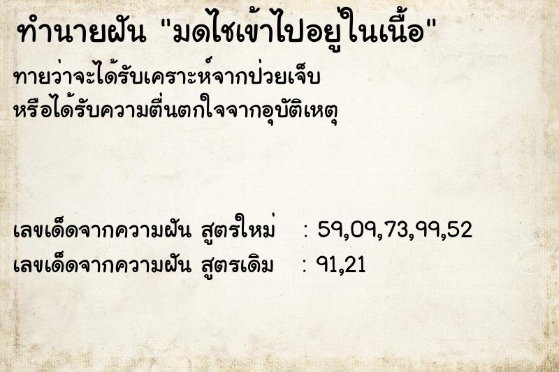 ทำนายฝัน มดไชเข้าไปอยู่ในเนื้อ ทำนายฝัน มดไชเข้าไปอยู่ในเนื้อ
