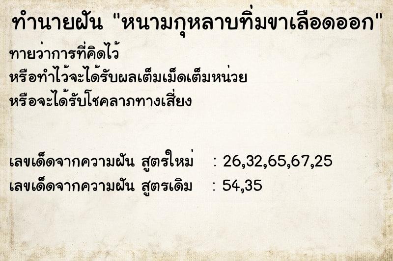 ทำนายฝันหนามกุหลาบทิ่มขาเลือดออก ทำนายฝันทำนายฝันหนามกุหลาบทิ่มขาเลือดออก