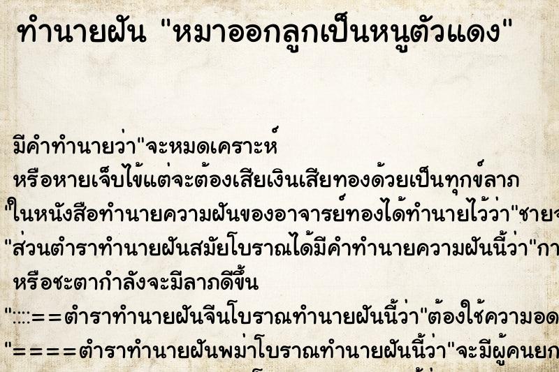 ทำนายฝัน หมาออกลูกเป็นหนูตัวแดง ทำนายฝัน หมาออกลูกเป็นหนูตัวแดง