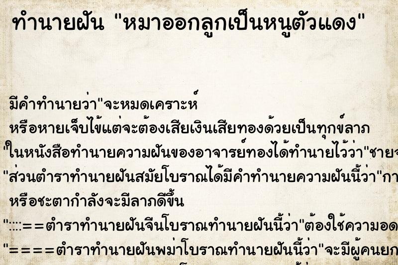 ทำนายฝัน หมาออกลูกเป็นหนูตัวแดง ตำราโบราณ แม่นที่สุดในโลก