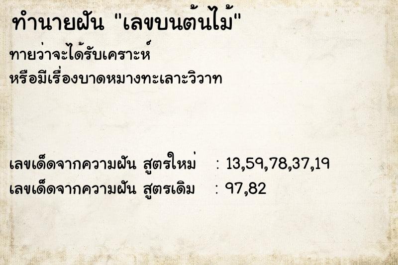 ทำนายฝัน เลขบนต้นไม้ ทำนายฝัน เลขบนต้นไม้