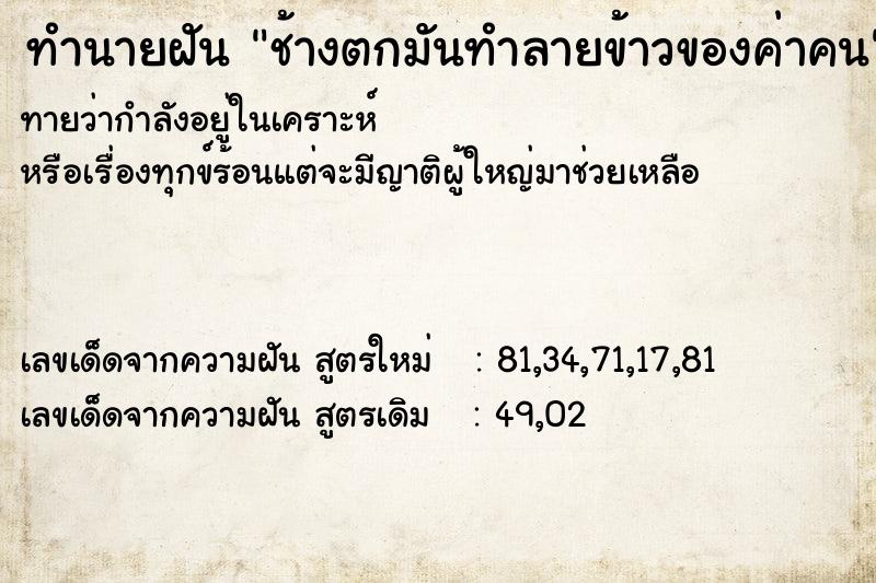 ทำนายฝันทำนายฝันช้างตกมันทำลายข้าวของค่าคน