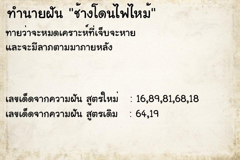 ทำนายฝันทำนายฝันช้างโดนไฟไหม้