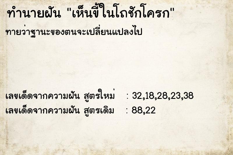 ทำนายฝัน เห็นขี้ในโถชักโครก ทำนายฝัน เห็นขี้ในโถชักโครก